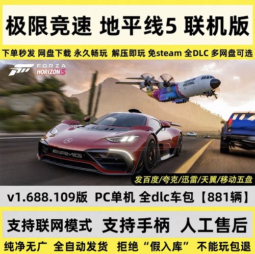 极限竞速：地平线5/Forza Horizon 5/支持网络联机