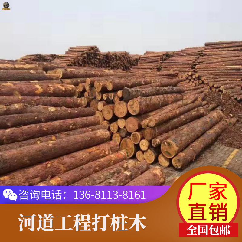 落叶松落叶松木桩河道防汛