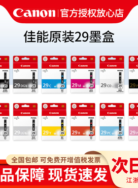 原装 Canon/佳能 PGI-29MBK C M Y CO PBK DGY CO PC PM R GY 墨盒12色 （适用PRO-1）打印机墨盒