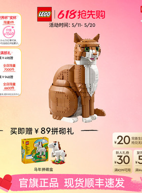乐高官方旗舰店正品21376橙色的猫橘猫拼搭积木玩具摆件生日礼物