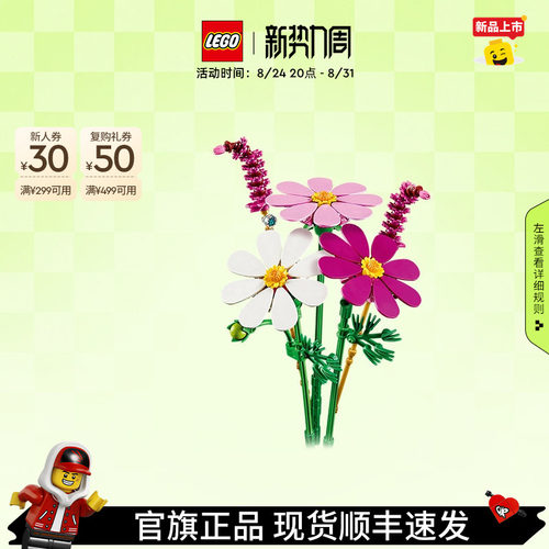 乐高11514波斯菊积木玩具