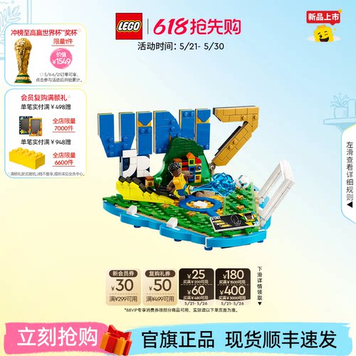 乐高43027维尼修斯进球瞬间