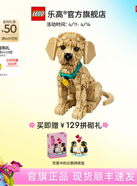 【顺丰速运】乐高官方旗舰店正品11384小金毛幼犬积木玩具礼物