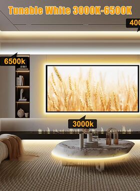 新款LED涂鸦WiFiZigBee套装灯条12V防水5050RGB智能Alexa灯带