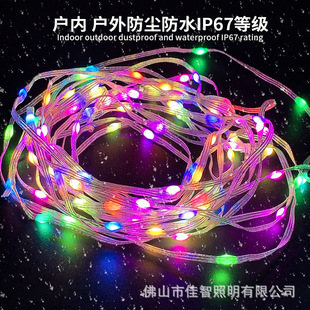 三线点控幻彩皮线灯带led皮线灯智能蓝牙音乐灯串氛围圣诞装饰彩