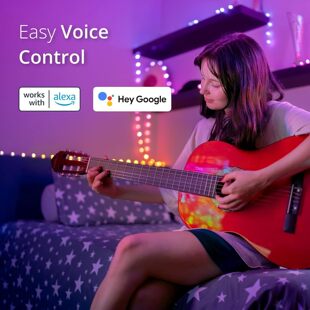 幻彩皮线灯智能点控幻彩花形灯串WIFI控制跑马铜线灯皮线灯串中灯