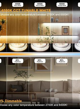 涂鸦WIFI氛围灯12V低压高亮灯条套装柔性led线条灯双色COB灯带