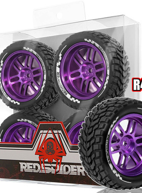 RS红蜘蛛1/10雷拉洛XTS 拉力车 无限94118 HNR鸿诺H9804 轮胎R420