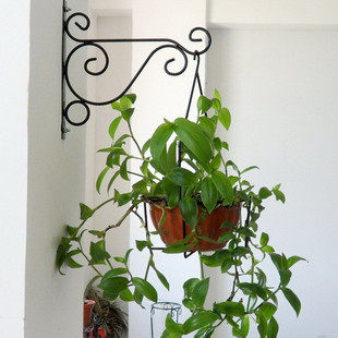 铁艺花盆挂钩架门牌吊篮