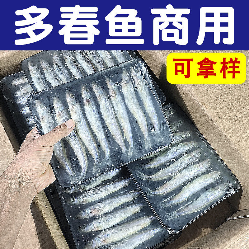 多春鱼满籽商用新鲜冷冻人吃大号整箱烧烤食材多籽鱼无籽餐饮,水产肉类/新鲜蔬果/熟食,多春鱼（新）,淘宝优惠券,粉丝福利购,淘宝优惠卷