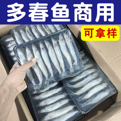 多春鱼满籽商用新鲜冷冻人吃大号整箱烧烤食材多籽鱼无籽餐饮