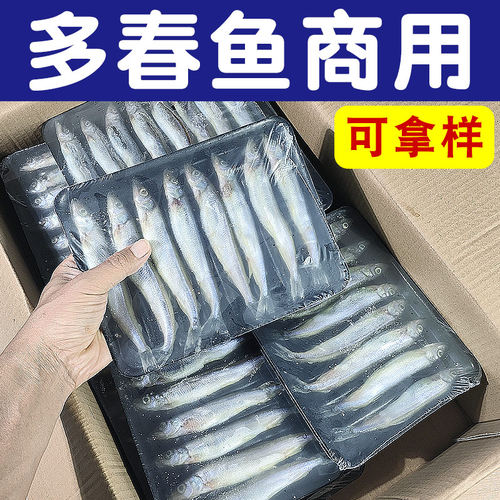 多春鱼满籽商用新鲜冷冻人吃大号整箱烧烤食材多籽鱼无籽餐饮