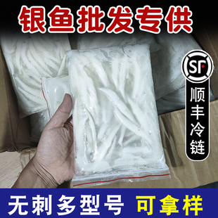 银鱼新鲜冷冻商用鲜活速冻新太湖银鱼冰鲜整箱十斤无刺鱼炒蛋蒸蛋