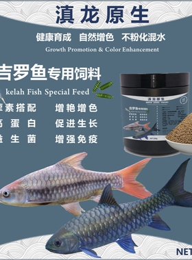 吉罗饲料 吉罗专用饲料 高蛋白饲料 富含虾红素 吉罗发色饲料