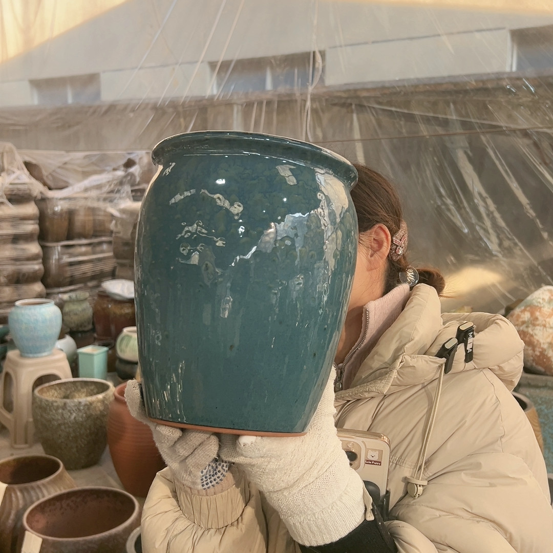 高25口20,鲜花速递/花卉仿真/绿植园艺,花盆,淘宝优惠券,粉丝福利购,淘宝优惠卷