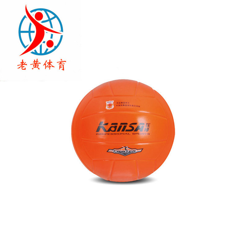 Ballon de volley-ball - Ref 2010963 Image 1
