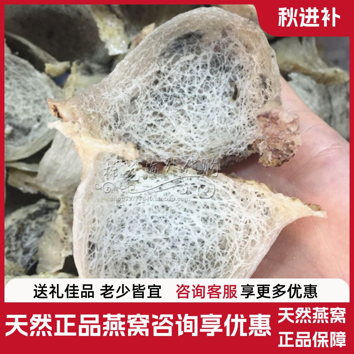 代购正品 野生洞燕岛燕毛燕金丝燕窝会安 龙舌盏 孕妇滋补燕窝