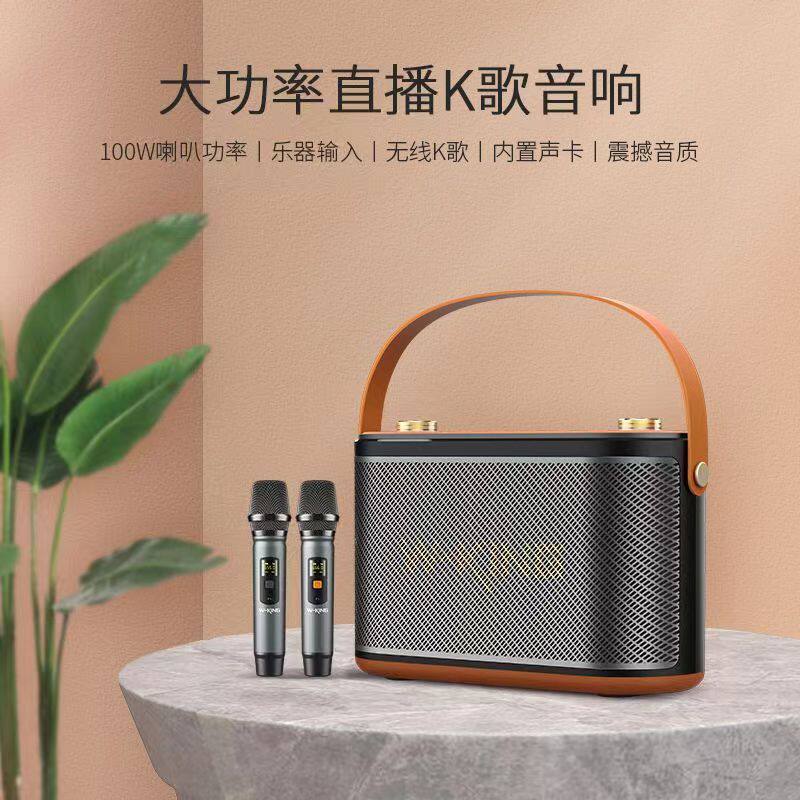 维尔晶H10高配版大音量音响唱歌
