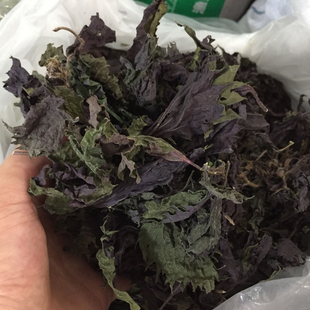 紫苏干 农家晒干特香紫苏 泰顺特产紫苏叶去腥烧鱼虾 纯叶子