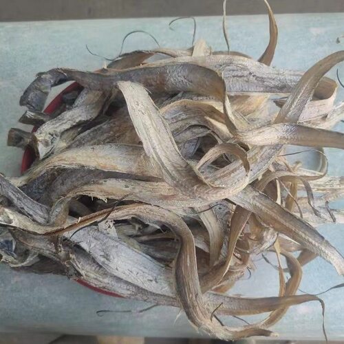 温州海鲜泰顺特产淡晒微咸小带鱼干带鱼丝烤小鱼干去头去肚10成干