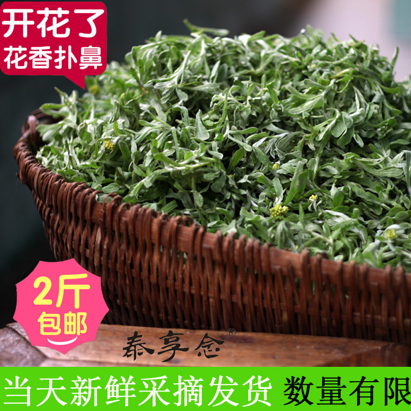 新鲜棉菜 泰顺特产 明曲嘻艾粿 清明草 鼠曲草白头草艾草青团500g