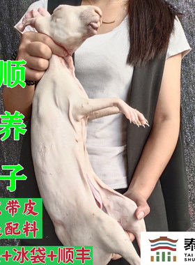 兔肉整只带皮兔子肉农家散养新鲜现杀3-4斤真空顺丰温州泰顺特产