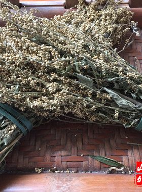 六月雪泰顺方言凉茶下火一把天然