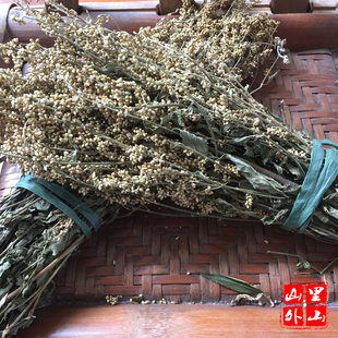 六月 雪（泰顺方言）凉茶下火 一把 山草药 满天星 六月霜 日日有