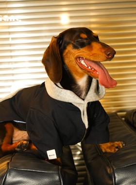 Chang|叙事夹克|NARRATIVE JACKET|夜海|腊肠犬衣服