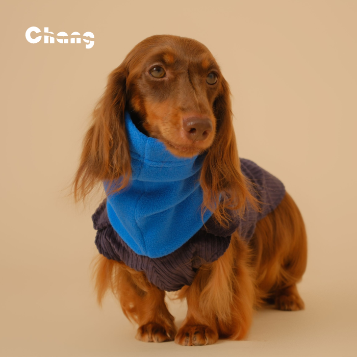 Chang|走出去工装卫衣|腊肠犬衣服