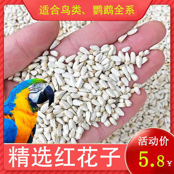 红花子鹦鹉粮鸟粮饲料红花籽白瓜子仓鼠食鸟食油葵虎皮玄凤零食22 宠物/宠物食品及用品 鸟食 原图主图