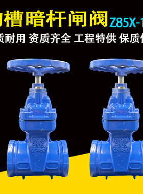 沟槽暗杆闸阀 卡箍阀门蓝色给水管道软密封闸板钢卡阀门开关dn100