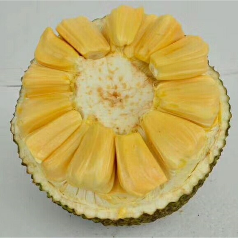 泰国红肉菠萝蜜口感甜进口新鲜水果超海南整个果10斤多地包邮|ruв категории водной мясо/свежие фрукты и овощи/еда, свежие фрукты, 菠萝蜜 - от Buy2taobao.com для оказания профессиональной услуги покупки агента Taobao