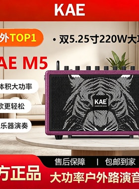 KAE M5音箱户外路演舞台直播 贝斯电吉他弹唱K歌电吹管声乐器音响