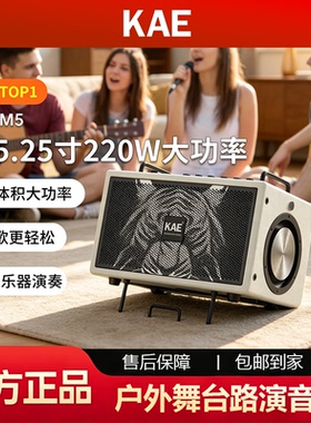 KAE M5音箱户外舞台路演直播 电吹管声乐器电吉他贝斯弹唱K歌音响