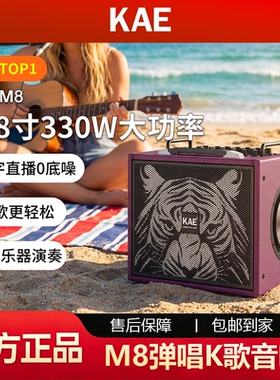 KAE楷尔M8音箱户外路演舞台电吹管声乐器音箱电吉他弹唱K歌音响