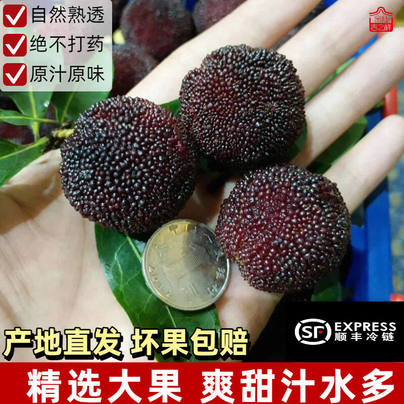 2026现摘潮汕金灶新鲜大杨梅当季孕妇水果非仙居东魁荸荠硬丝整箱