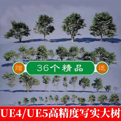 UE5虚幻4 写实高质量树木林植物 森林山林丛林 场景制作模型素材