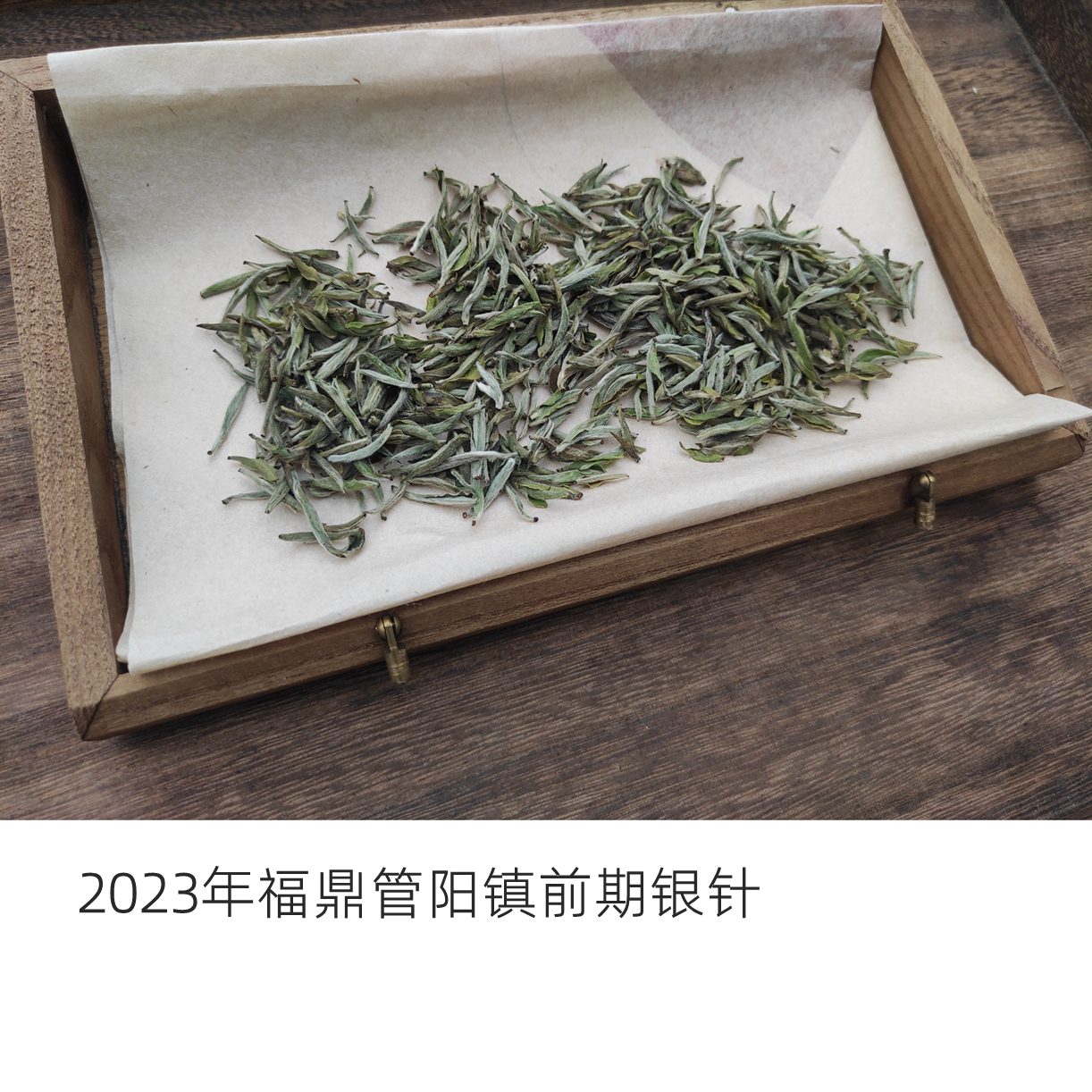 白毫银针福鼎白茶前期白毫银针2023年福鼎管阳镇正宗原产地直发