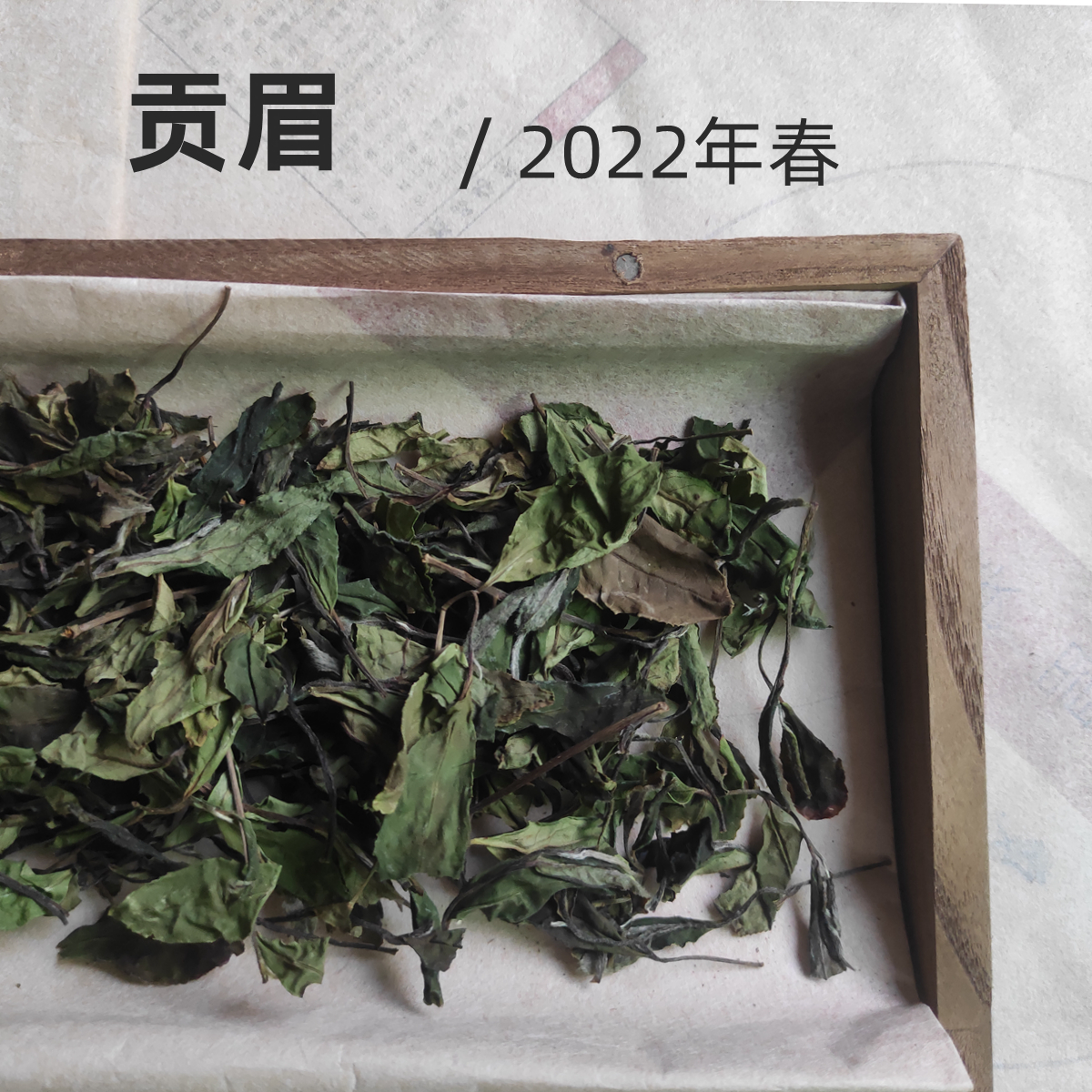 贡眉福鼎白茶管阳镇春季2022年半荒野土茶一百克七浦村张师傅制作