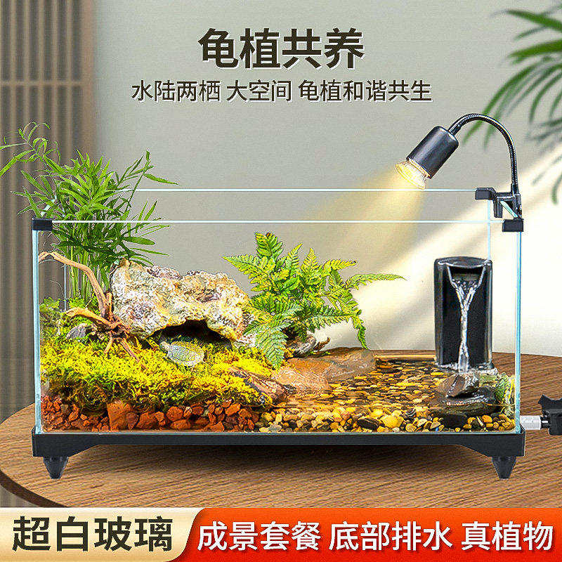 乌龟饲养缸生态造景家用玻璃鱼缸新型小别墅水陆两用养乌龟专用缸