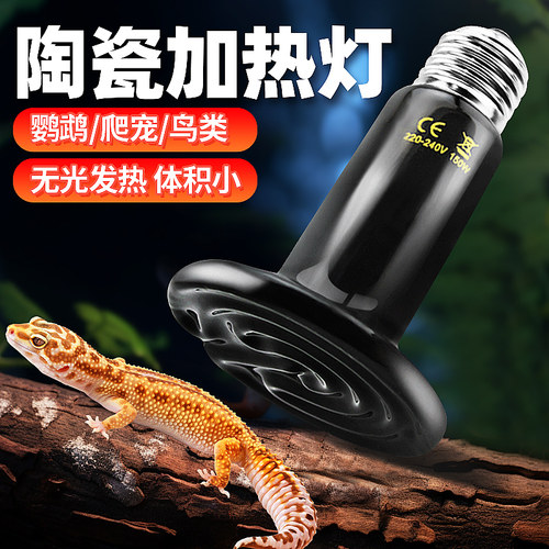 陶瓷加热灯保温灯宠物爬虫箱用品