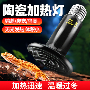 陶瓷加热灯陆龟蜥蜴爬虫保温灯恒温宠物蛇刺猬饲养箱鹦鹉爬宠用品