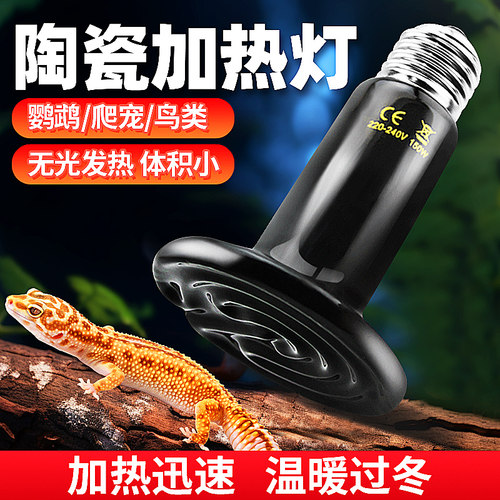 陶瓷加热灯保温灯宠物爬虫箱用品
