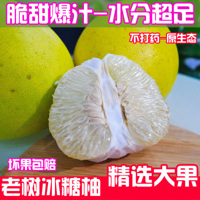 安江老树新鲜水果水晶白肉冰糖柚