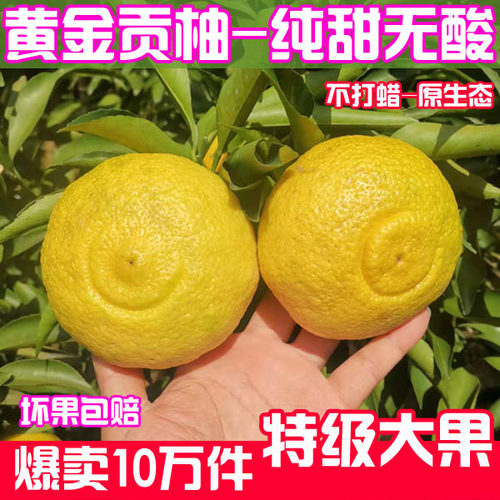 【爆卖10万件】纯甜爆汁黄金贡柚