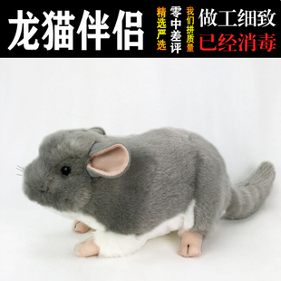 外贸仿真小老鼠毛绒玩具灰色耗子玩偶逼真摆件龙猫公仔宠物布娃娃
