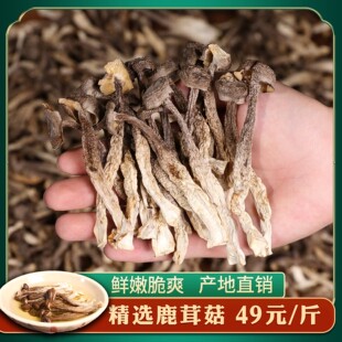 鹿茸菇100g-500g鹿茸菌干货 煲汤炒菜炖肉食材蘑菇