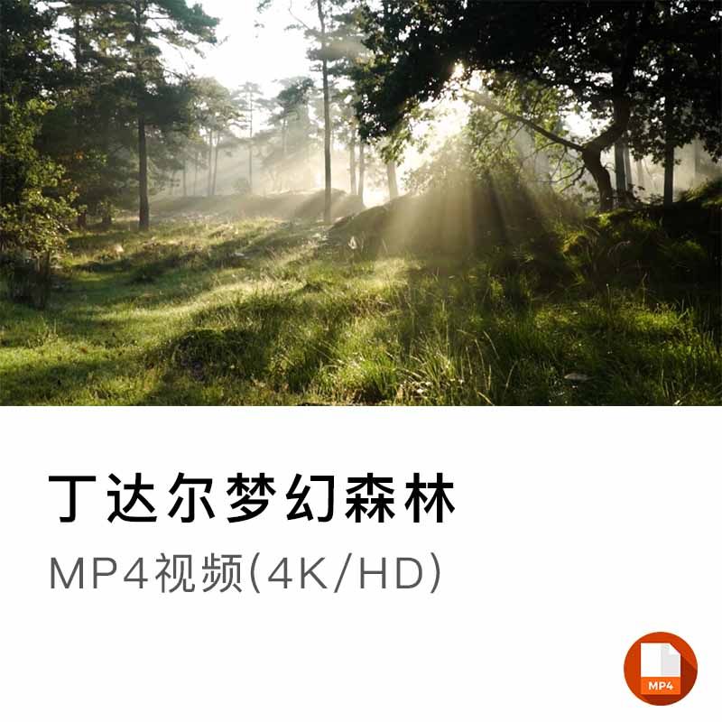 丁达尔梦幻森林清晨阳光树林逆光唯美意境素材视频空镜mp4