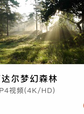 丁达尔梦幻森林清晨阳光树林逆光唯美意境素材视频空镜MP4